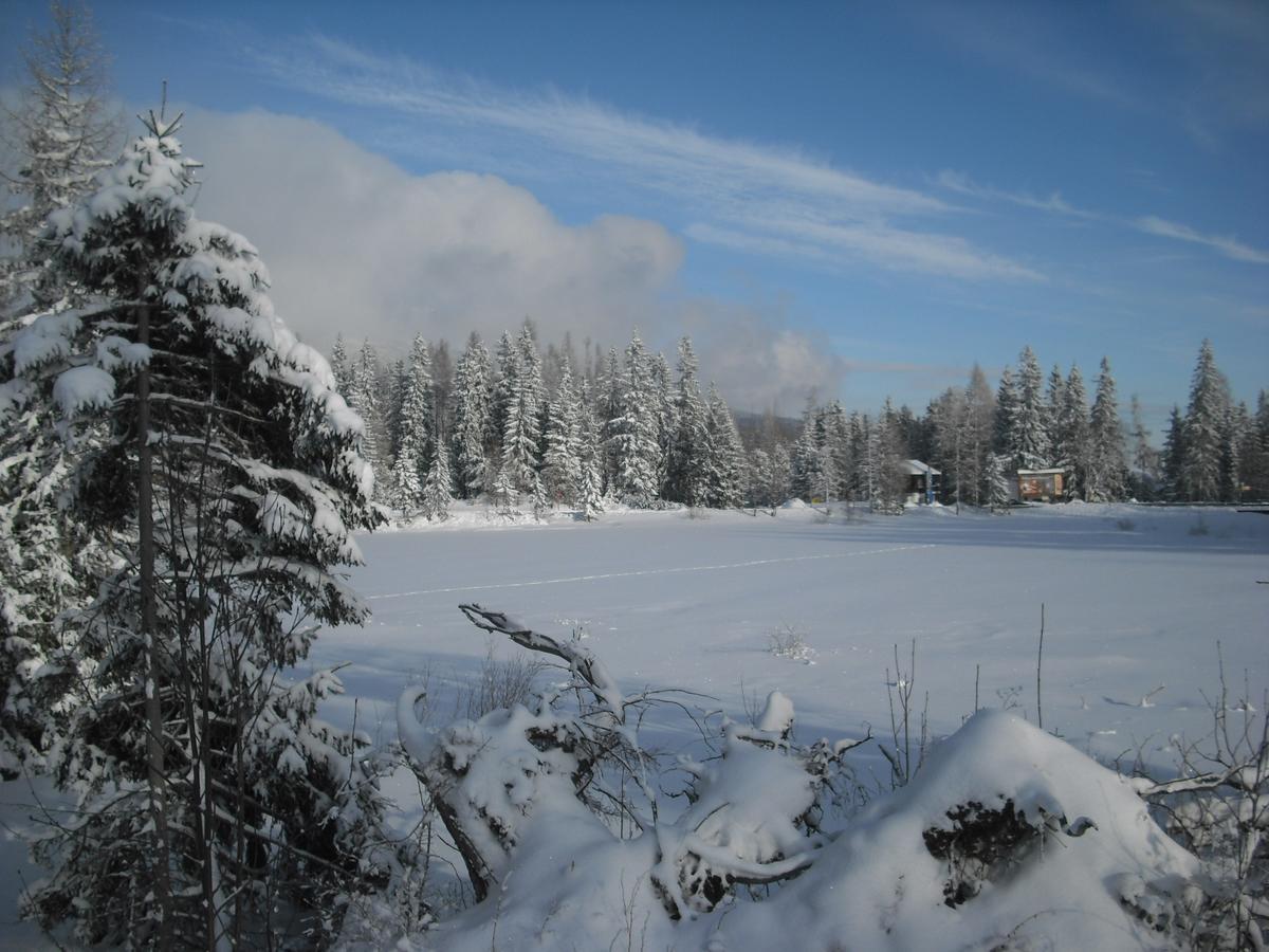 Apartman Panorama 213, Studio Comfort Strbske Pleso Luaran gambar