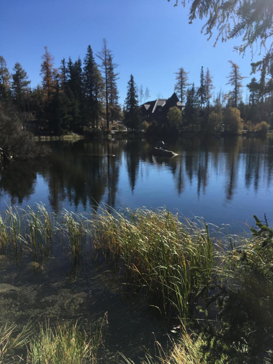 Apartman Panorama 213, Studio Comfort Strbske Pleso Luaran gambar